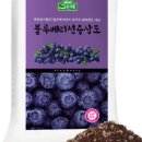 블루베리 앞 이미지