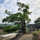 옥과곡성 이미지