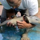 성산읍 성산리 재활용 도움센터 이미지