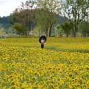 봉화산 민박 이미지