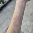 CU미사R5점 | g월아 반갑ㄷr...