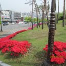 화서문로타리 이미지