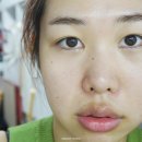 Sun Tree(썬 트리) 이미지