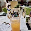 스파피닉스 이미지