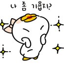 프리티파우 이미지