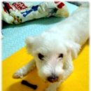 구월2동-10 이미지