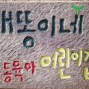살림어린이집 이미지