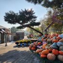 친수공원아름다운자연식물섬 | 제부도 서해랑 케이블카에서 신랑이랑 데이트 로맨틱한 하루 보낸 후기