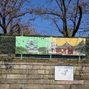 명성정비 | 나고야성 입장료 운영시간 볼거리 총정리 | 일본 3대 명성 완벽 가이드