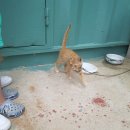 승준식당