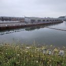 쉼터 낚시터 | 🎣 천혜사랑바다낚시터, 바다 낚시가 이런건가? / 경기북부 배스초보의 일기 EP.129