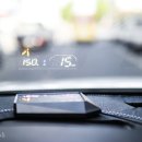 신호카포스 이미지