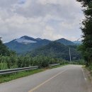 두메아리 이미지