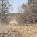 땅이야기공인중개사사무소 이미지