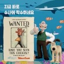 아쿠아리움 이미지