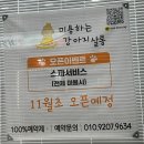 미용하는 강아지 | 서림동 [미용하는 강아지] 찐빵행님 배냇 미용 후기❤