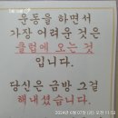 커브스 사당클럽 | 커브스 사당점 내돈내산 한 달 후기 인바디 변화 포함