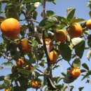 보금농장 이미지