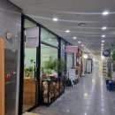 고센플라워부띠크 | 세련된 꽃다발을 저렴한 가격에 판매하는 판교 감성 꽃집 '고센플라워부띠크' 구매 후기