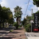 제주갈치명가 | 함덕 묵은지 은갈치 조림 로컬 도민 맛집 제주갈치명가 점심 식사 후기