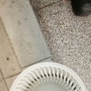 제이모터스 | g80에어컨내시경어바크리닝 청주노이즈킹제이모터스, 냄새 잡고 쾌적해진 후기