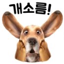 라면국물편의점포차 이미지