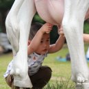 현모목장 이미지