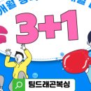 팀 드래곤 복싱 이미지