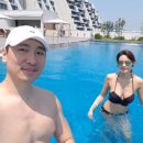 안현모 카카오 검색결과