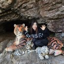 서울댄스스포츠학원 이미지