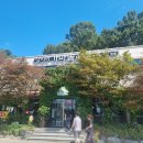 장지리 진한 해장국 | [경기광주] 오랜 시간 사랑 받은 선지해장국 맛집 후기 '장지리가마솥해장국 본점'