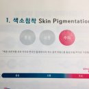 젠솔 이미지