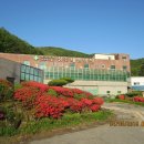 밤원주유소 이미지