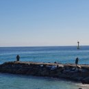 도깨비회수산 이미지