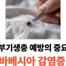목동찬동물의료센터 이미지