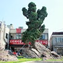 지장암 - 1254 | 지장암