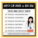 멍냥이 이발소 | [2026 충남 당진 가볼만한곳] 삽교호 드론쇼 전체 일정, 명당 및 관람 상세 후기 (놀이동산 당일치기 코스)