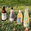[서울 양재] 2026막스포, MAXPO, 우리나라 전통주 막걸리 엑스포, 맛있었던 막걸리 추천, 구매 후기