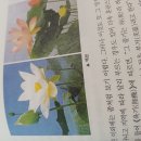 꽃으로보는 한국문화, 이상희 저 이미지