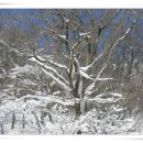 설경산수화 이미지