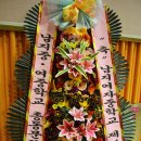 남지여자중학교 이미지