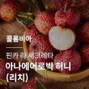 그린에어로빅 이미지