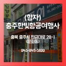 한빛항공여행사 이미지