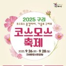 코스모스길14번길 이미지