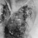 화서동물병원 이미지