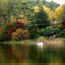 다 같이하는 가치 이미지