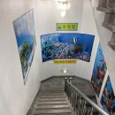 용호레포츠 이미지