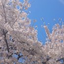 SK시흥시화산업 태양광발전소 | 2026년 4월 23일 경제기사