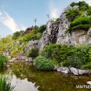 뉴욕종합동물병원 이미지