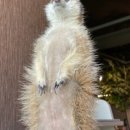 와우쥬 양산점 이미지